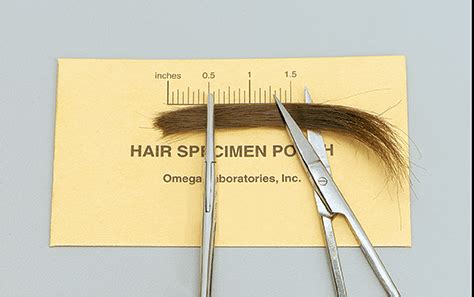 laboratory hair analysis|how accurate is hair analysis.